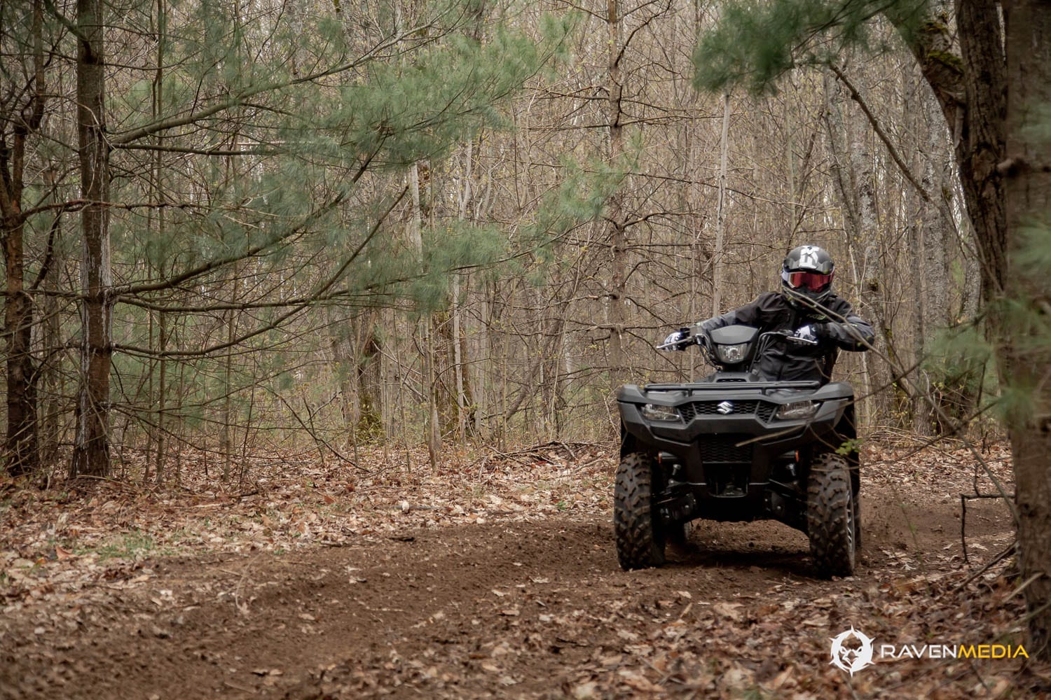 Suzuki KingQuad 2019 Essai