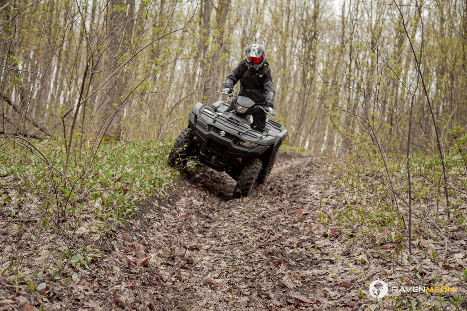 Suzuki KingQuad 2019 Essai