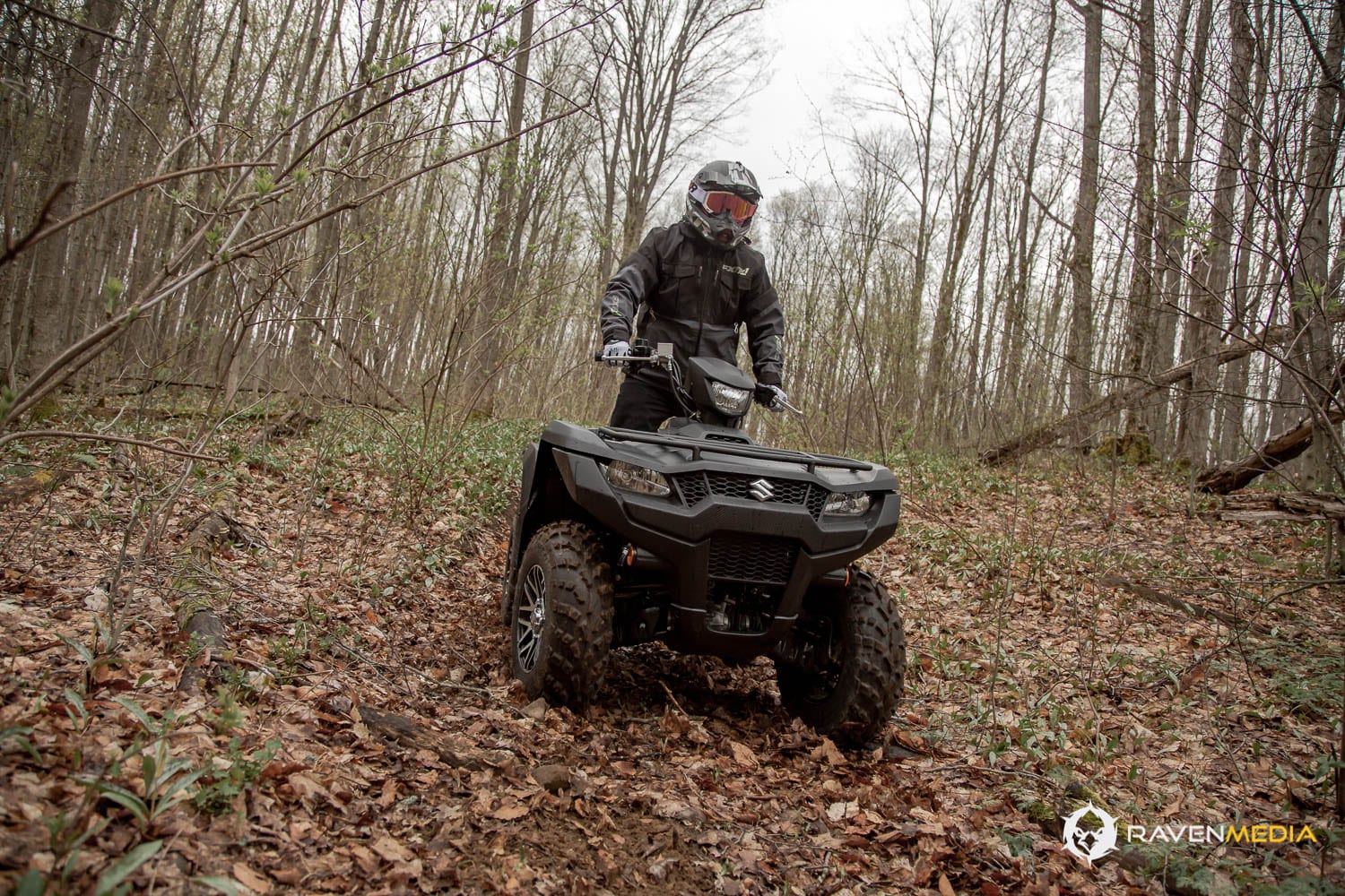 Suzuki KingQuad 2019 Essai