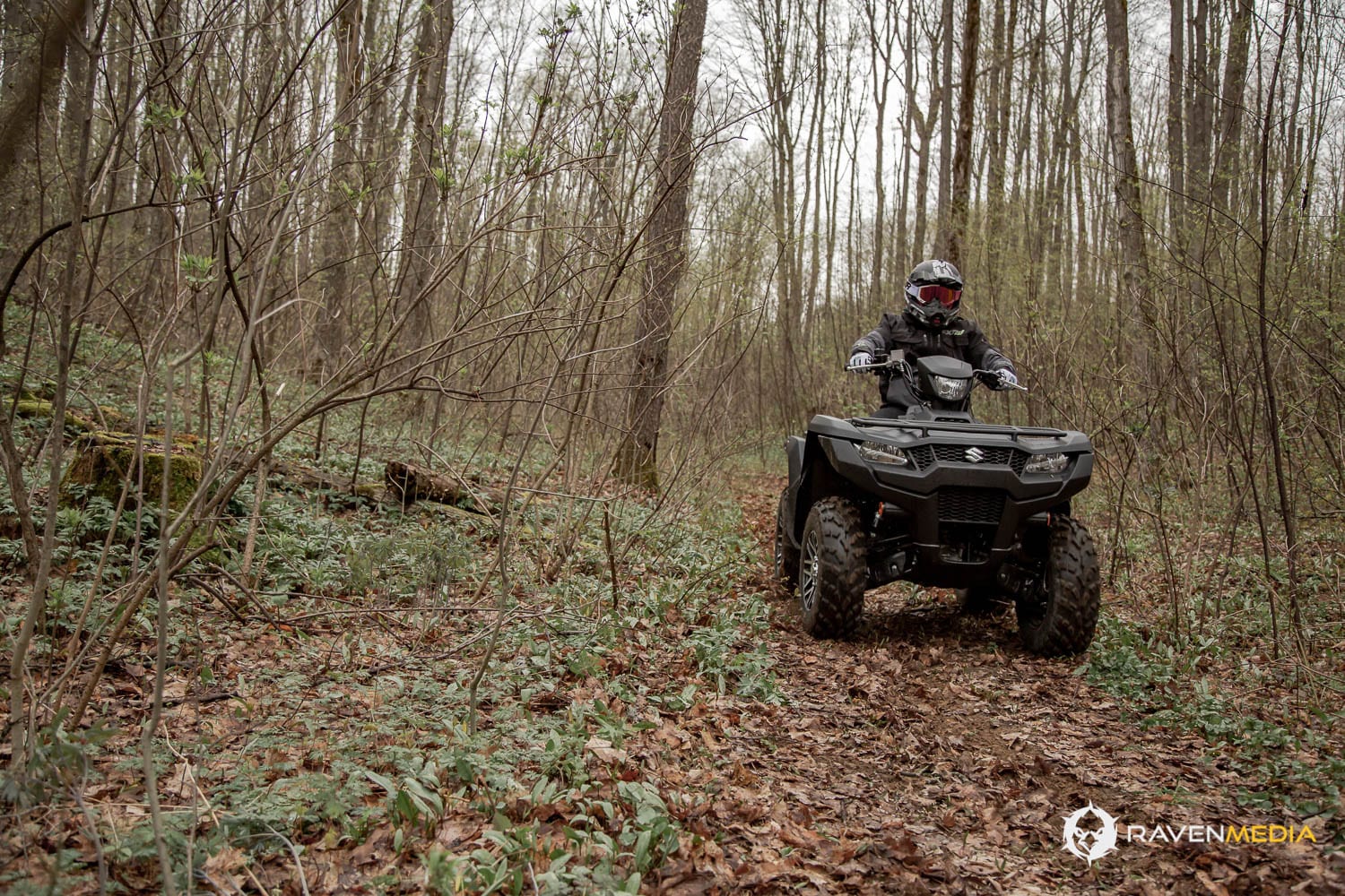 Suzuki KingQuad 2019 Essai