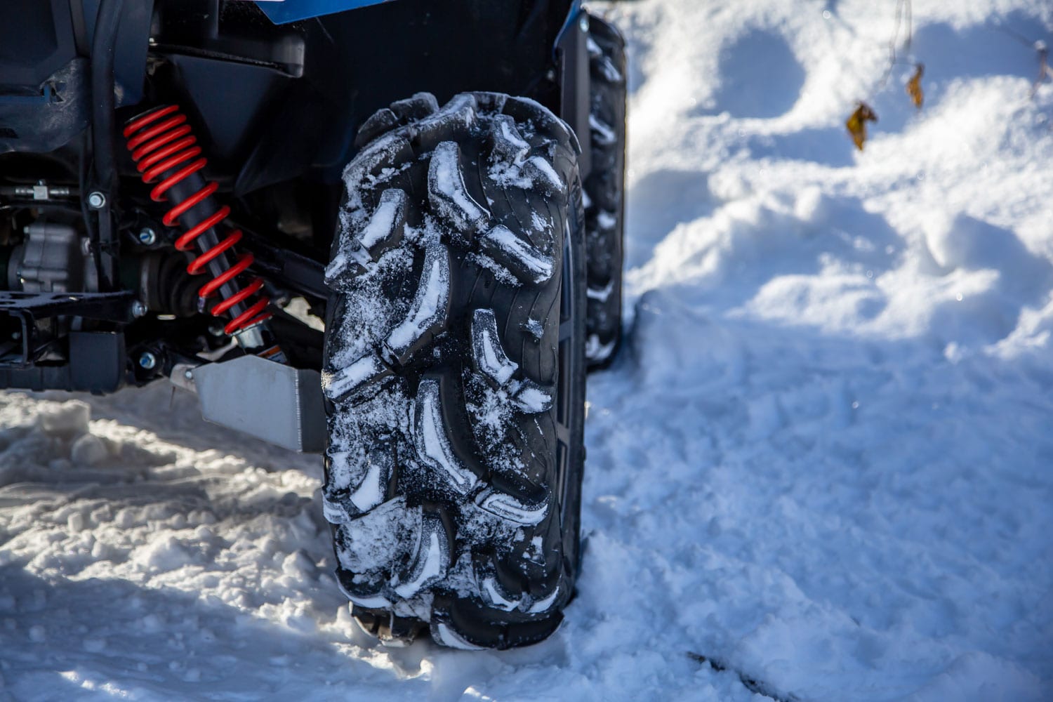 Yamaha Grizzly EPS SE 2019 Essai