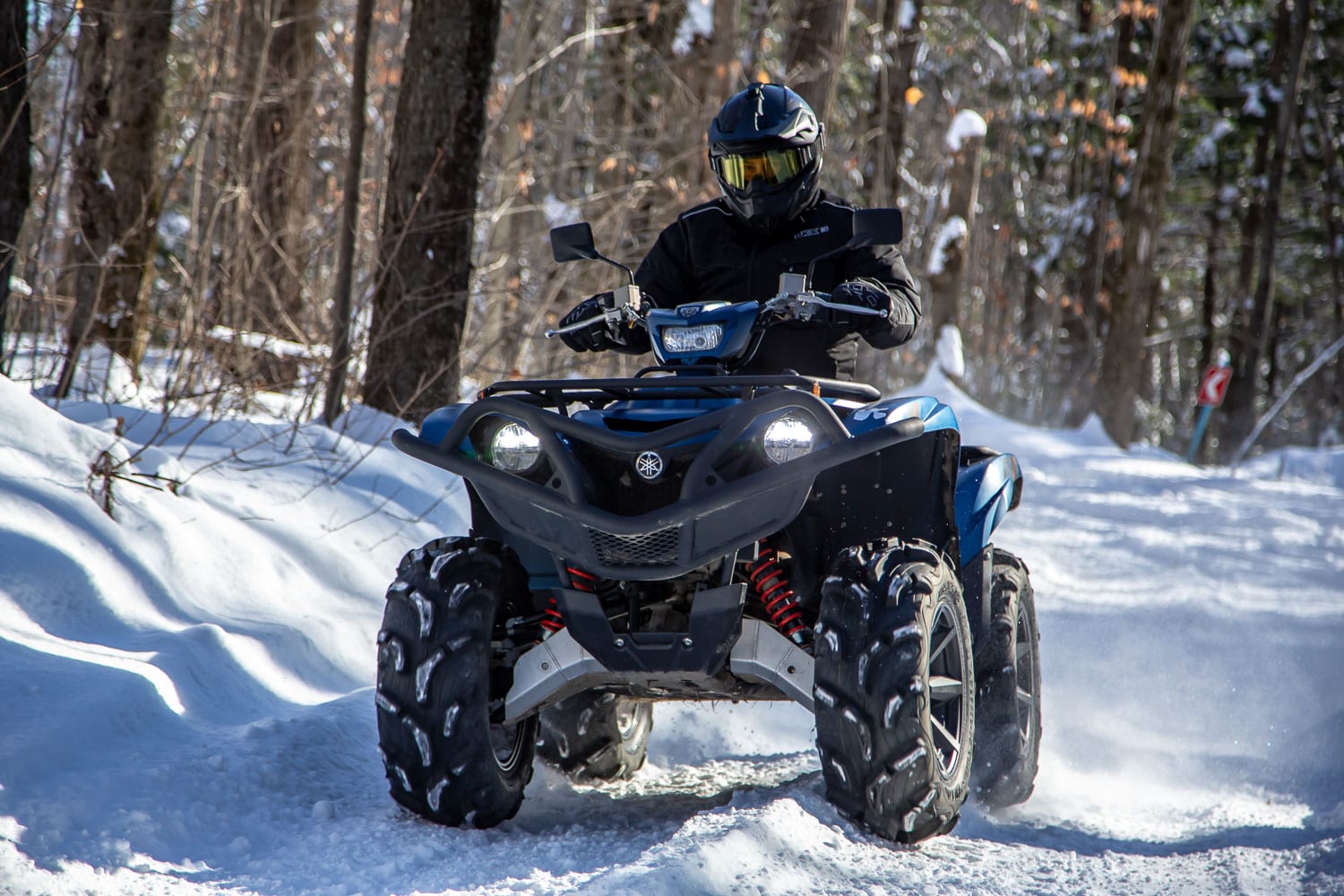 Yamaha Grizzly EPS SE 2019 Essai