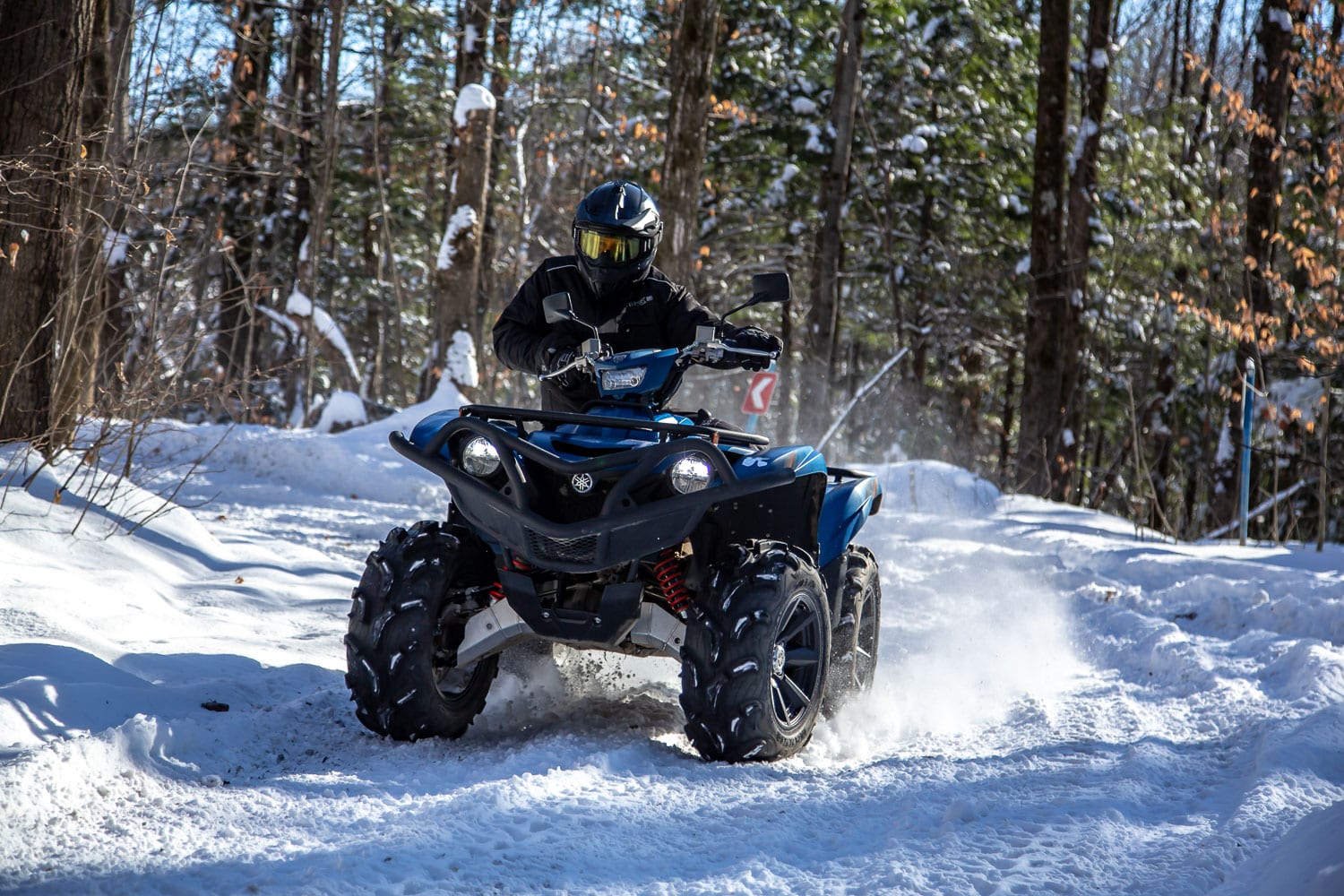 Yamaha Grizzly EPS SE 2019 Essai