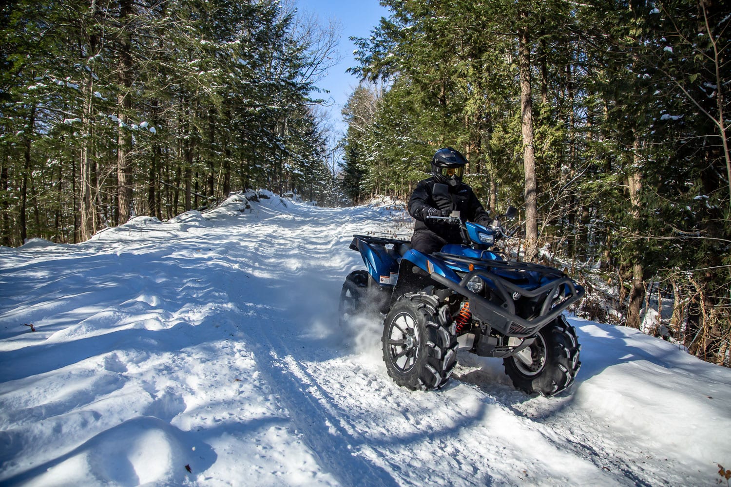 Yamaha Grizzly EPS SE 2019 Essai